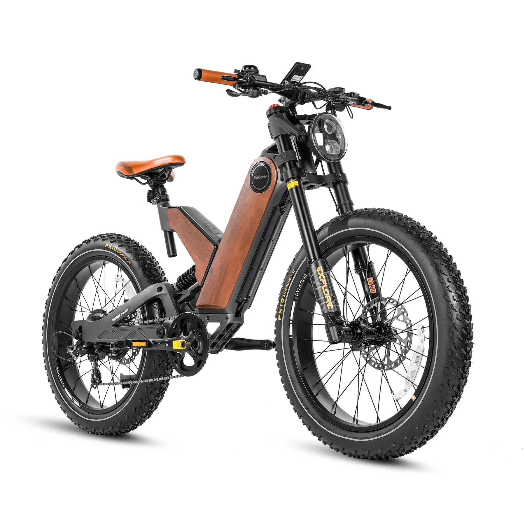 24 Inch Fat Tire All Terrain Removable Battery Electric Bike P5-E2