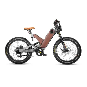 24 Inch Fat Tire All Terrain Removable Battery Electric Bike P5-E2