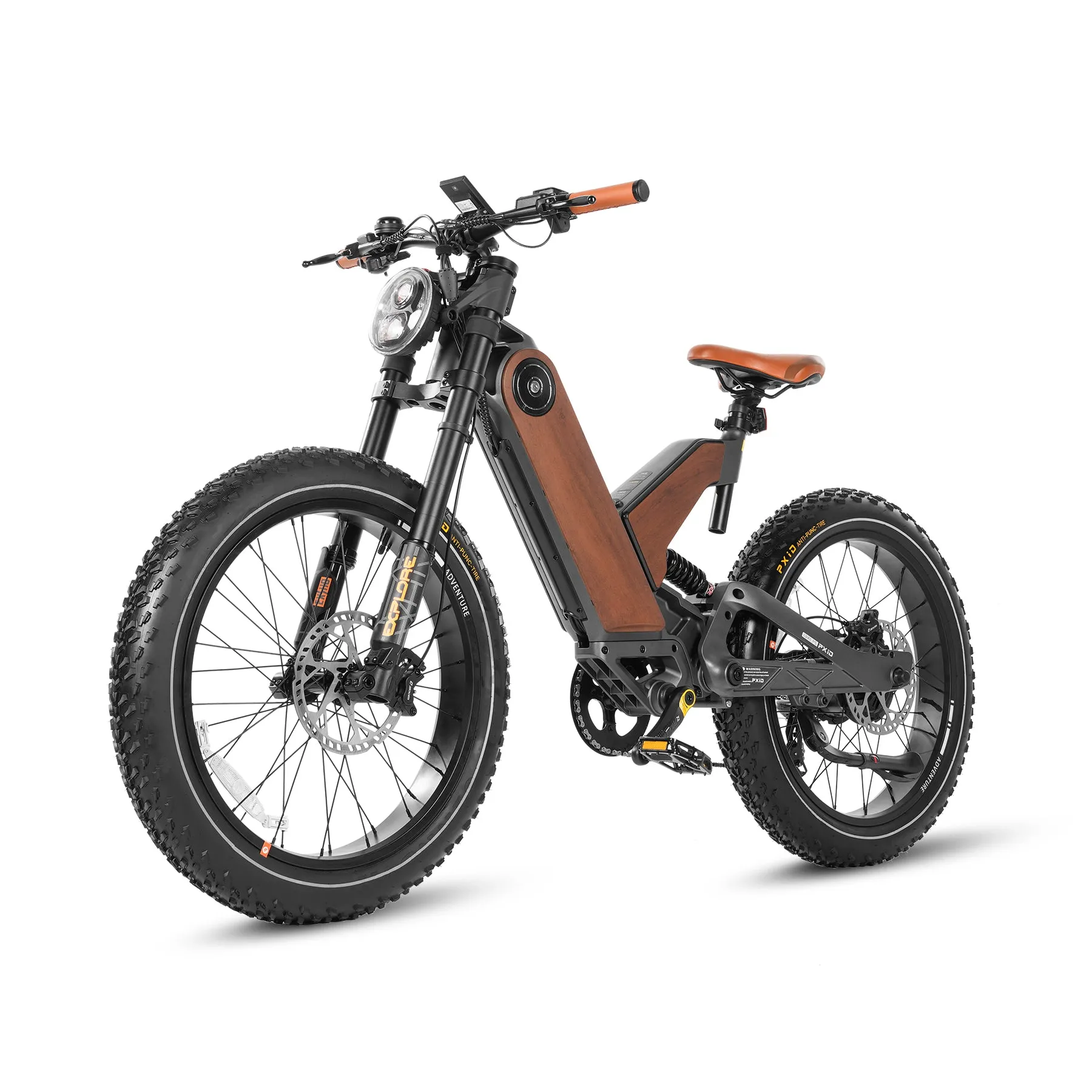 24 Inch Fat Tire All Terrain Removable Battery Electric Bike P5-E2