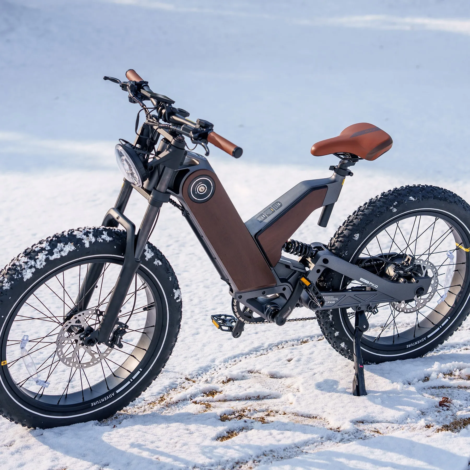 24 Inch Fat Tire All Terrain Removable Battery Electric Bike P5-E2