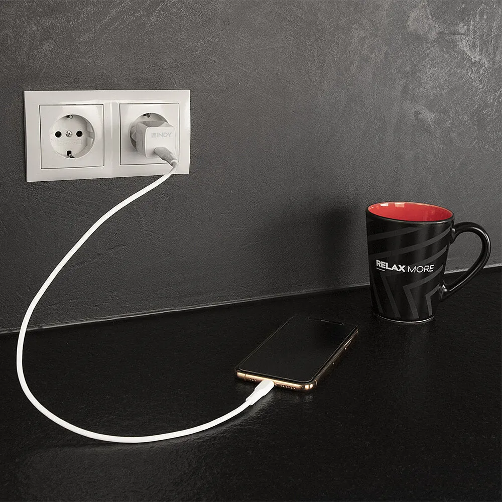 Lindy Power Adapter - 24 Pin Usb-C - 20 Watt