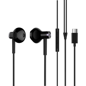 Mi Dual Driver Earphones (Type-C)