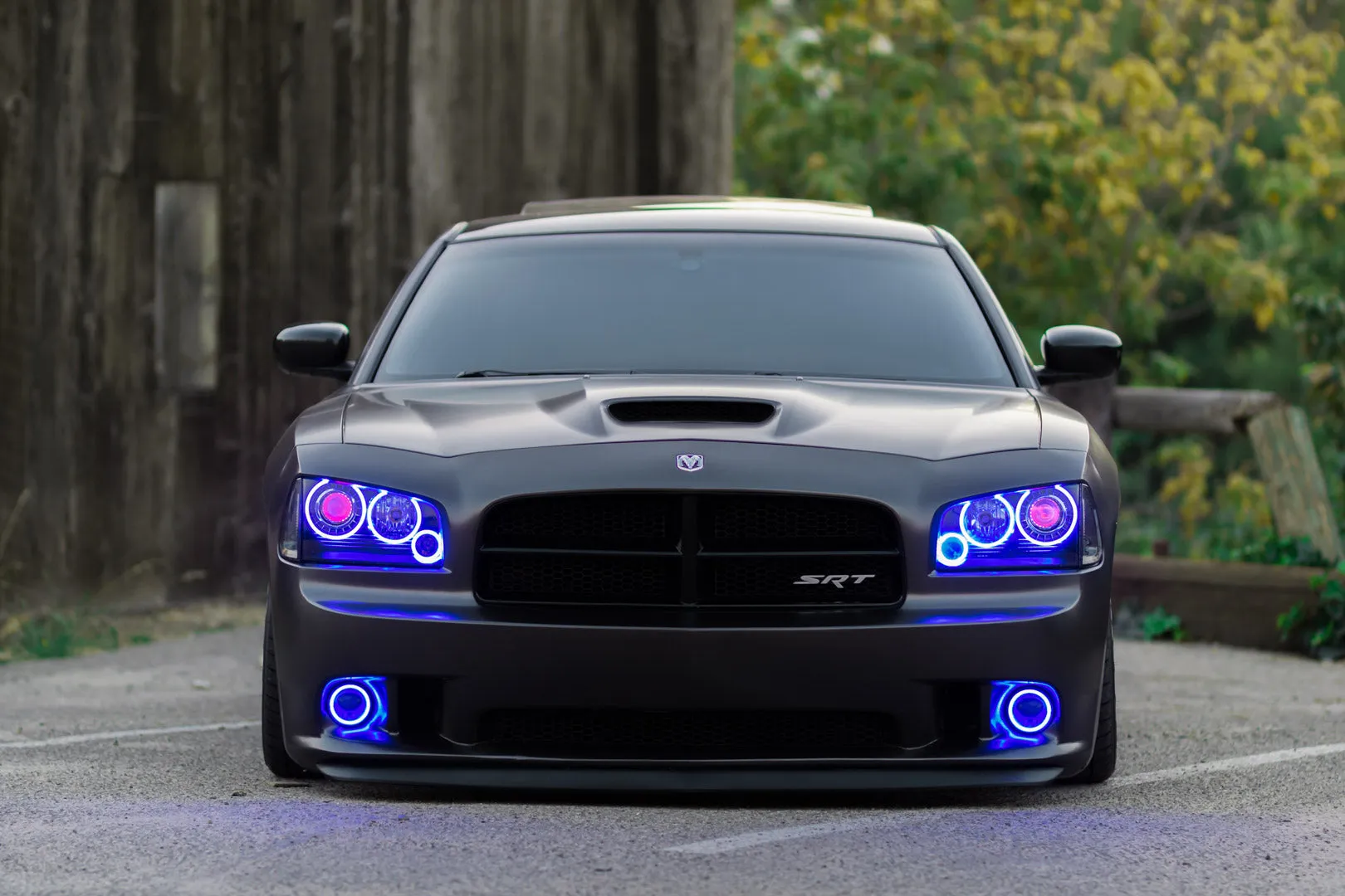 ORACLE Lighting 2005-2010 Dodge Charger LED Headlight Halo Kit