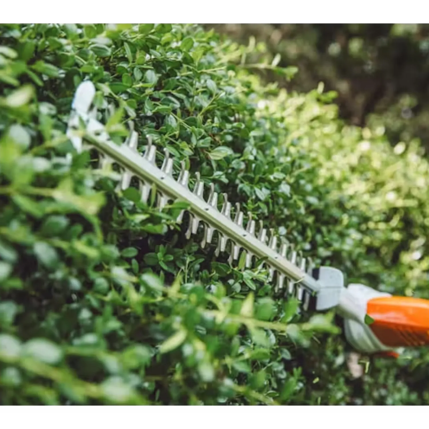 STIHL HLA 56 18 Battery Powered Cordless Extended Reach Hedge Trimmer | Tool Only