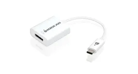 USB Type-C to DisplayPort Adapter