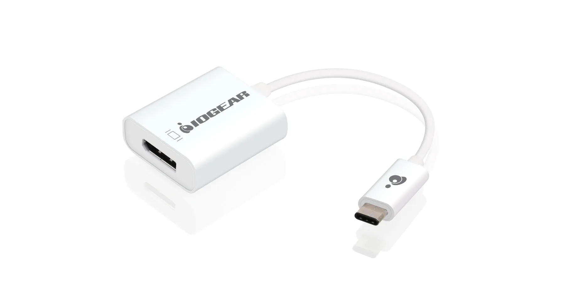 USB Type-C to DisplayPort Adapter